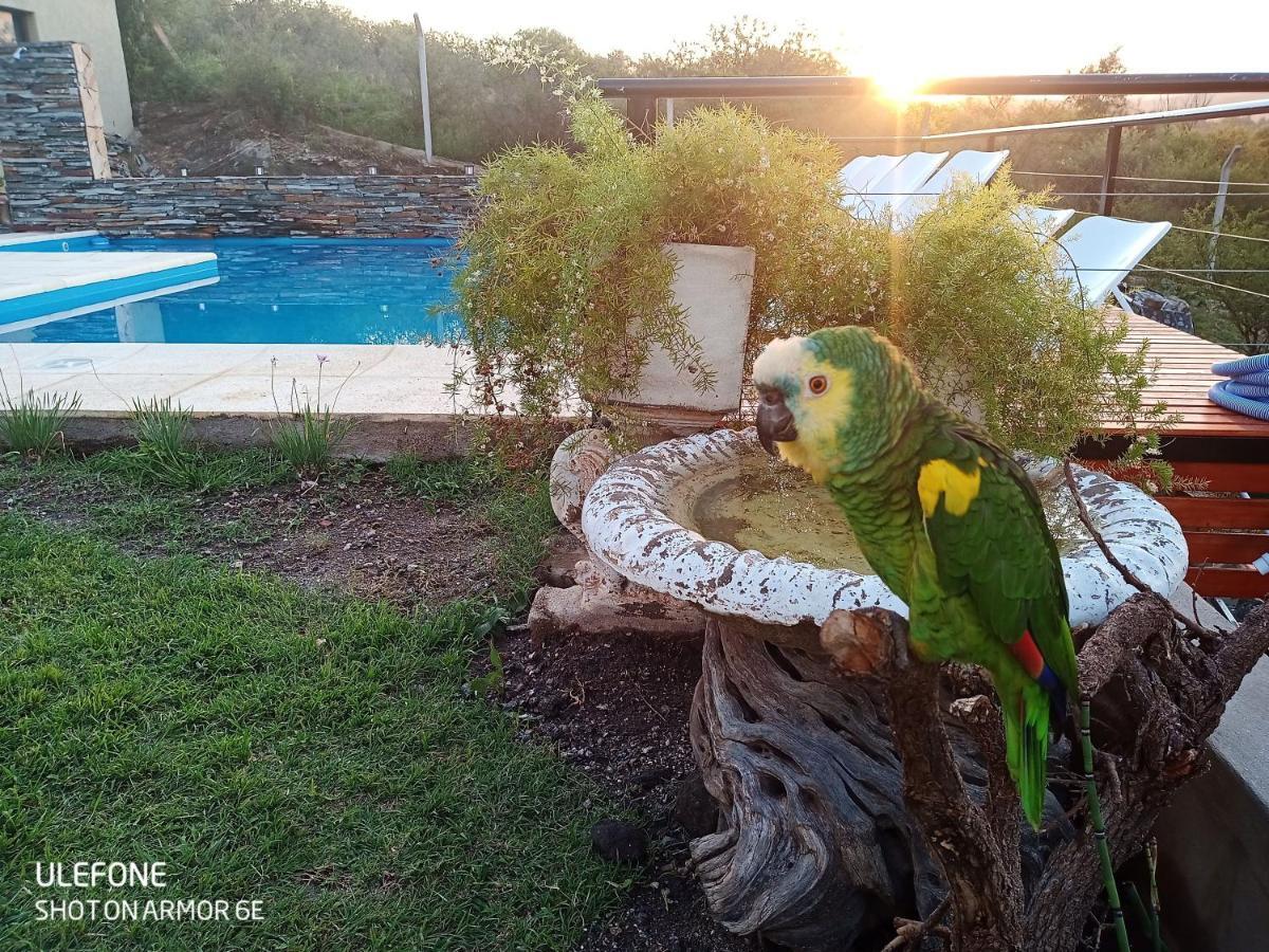 Miracampo Διαμέρισμα San Antonio de Arredondo Εξωτερικό φωτογραφία